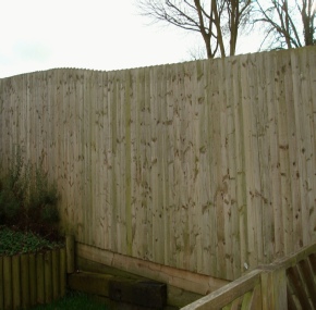 James-Rawcliffe-fencing